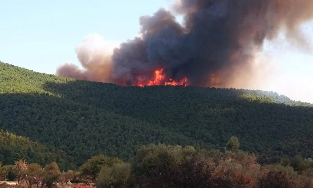 Μεγάλη φωτιά στα Βίλια: ''Χτύπησε'' το 112 - Στη μάχη με τις φλόγες 21 εναέρια μέσα